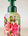 Strawberry Kiwi Gentle & Clean Foaming Hand Soap