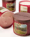 Afternoon Apple Picking 3-Wick Candle