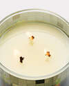 Carrot & Nectarine 3-Wick Candle