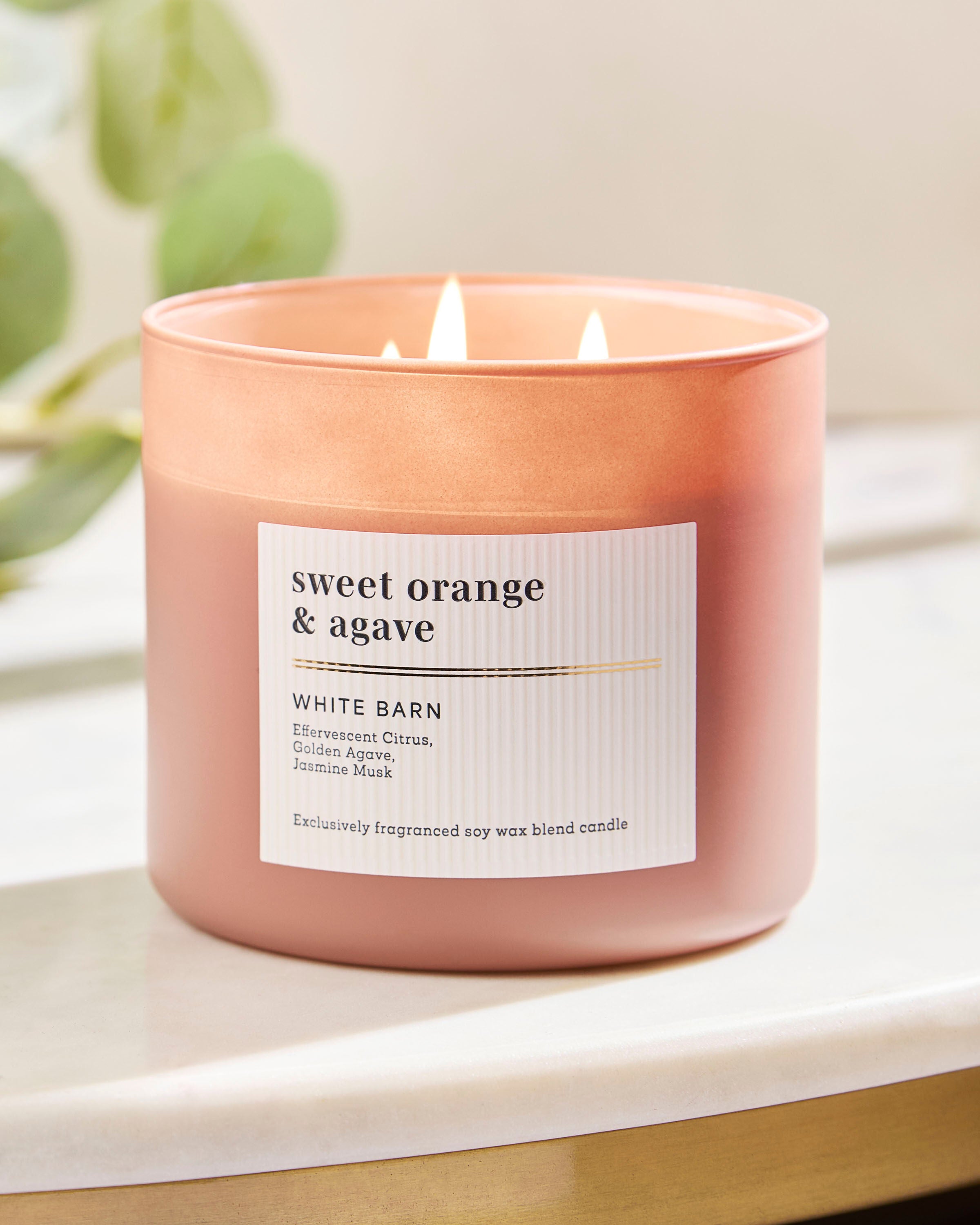 キャンドル BATH&BODYWORKS Candles (3set) Sweet Orange & Agave 3-Wick Candle | Bath & Body Works