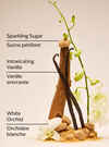 Warm Vanilla Sugar Body Lotion