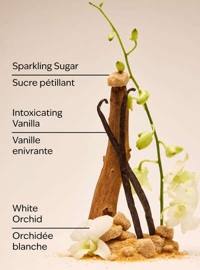Warm Vanilla Sugar Body Lotion