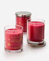 Winter Candy Apple Single Wick Candle
