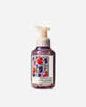 Pomegranate & Blackberry Gentle & Clean Foaming Hand Soap