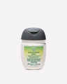 Eucalyptus Mint PocketBac Hand Sanitizer