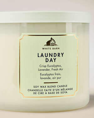 Laundry Day 3-Wick Candle