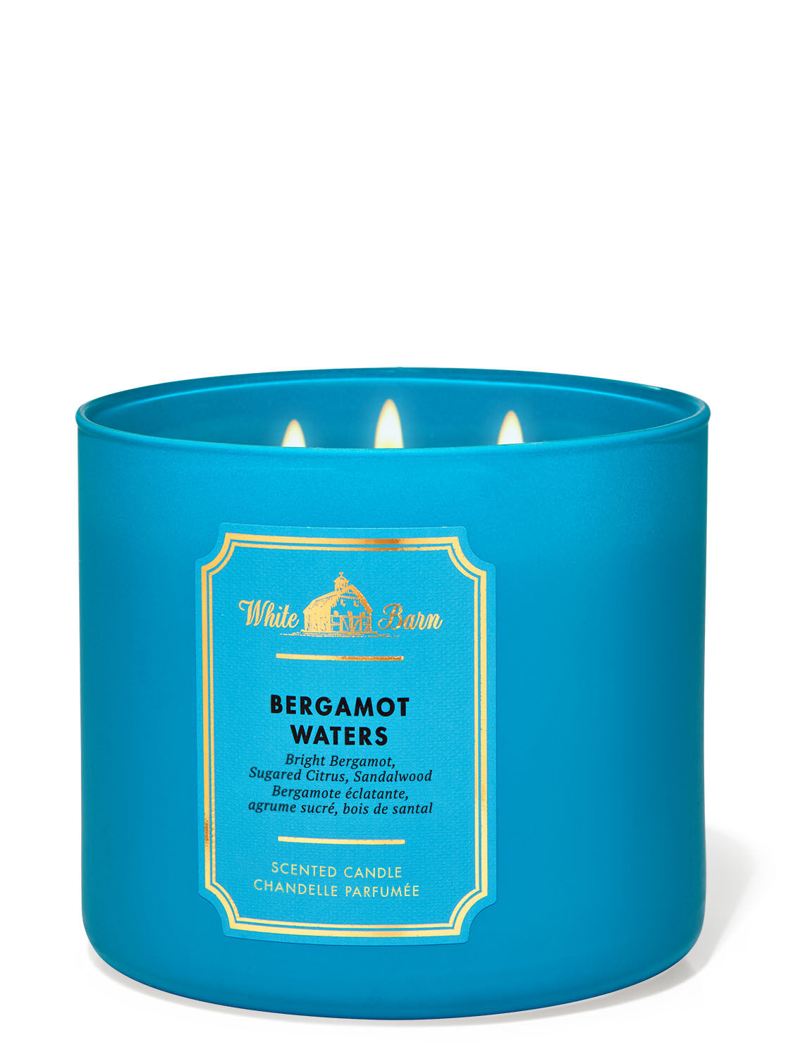 Bath & Body Works 3-Wick Candle in Bergamot Waters
