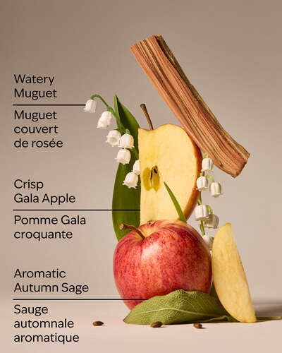 Country Apple Wallflowers Fragrance Refill