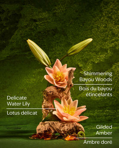 Tiana Ultimate Hydration Body Cream