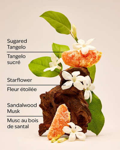 In the Stars Travel Size Fine Fragrance Mist