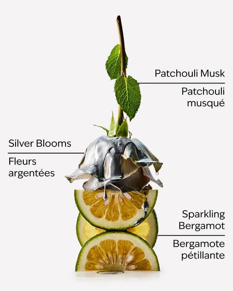 Fine bruine parfumée Platinum