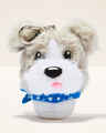 Bandana Dog Pom PocketBac Holder
