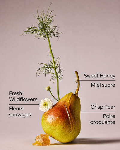 Honey Wildflower Concentrated Room Spray