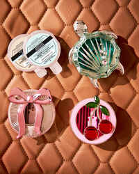 Shelly Turtle Car Fragrance Holder