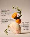 Sparkling Summer Wallflowers Fragrance Refill