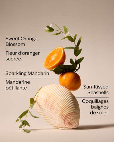Sparkling Summer Wallflowers Fragrance Refill