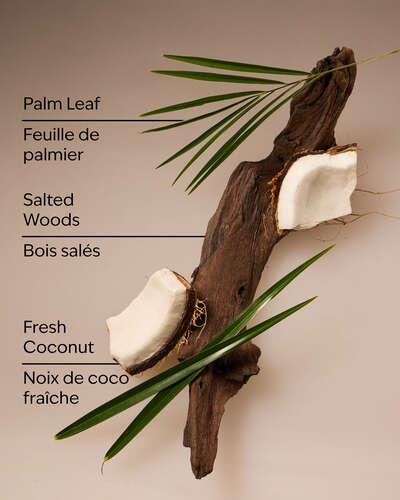 Coconut Nectar Travel Size Smooth & Soothe Body Cream