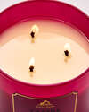 Cactus Blossom 3-Wick Candle