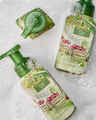 Cider Lane Gentle & Clean Foaming Hand Soap
