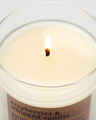 Chandelle à une mèche Raspberries & Whipped Vanilla