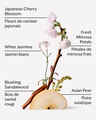 Japanese Cherry Blossom Moisturizing Body Wash