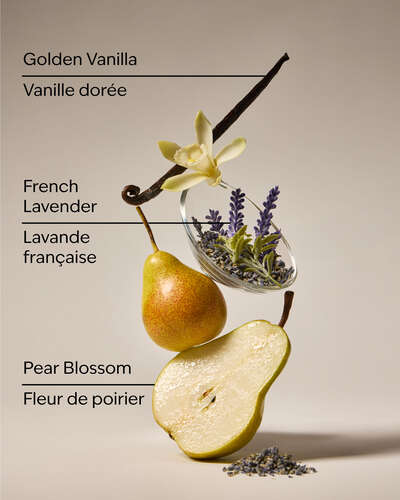 Moonlit Goddess Wallflowers Fragrance Refill