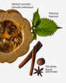 Farmhouse Pumpkin & Spice Car Fragrance Refill