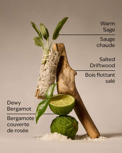 Salted Shorelines Fine Fragrance Mist