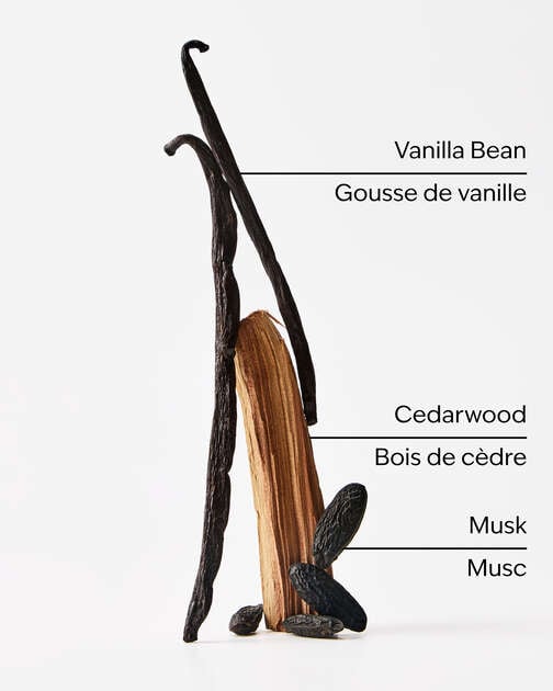 Vanilla + Tonka 4-Wick Candle