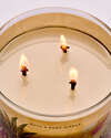 Coconut Piña Colada 3-Wick Candle
