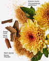 Sweet Mum Blossom Gentle & Clean Foaming Hand Soap