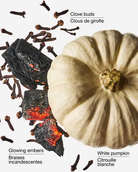 Pumpkin Bonfire Concentrated Room Spray