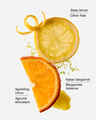 Kitchen Lemon Gift Set