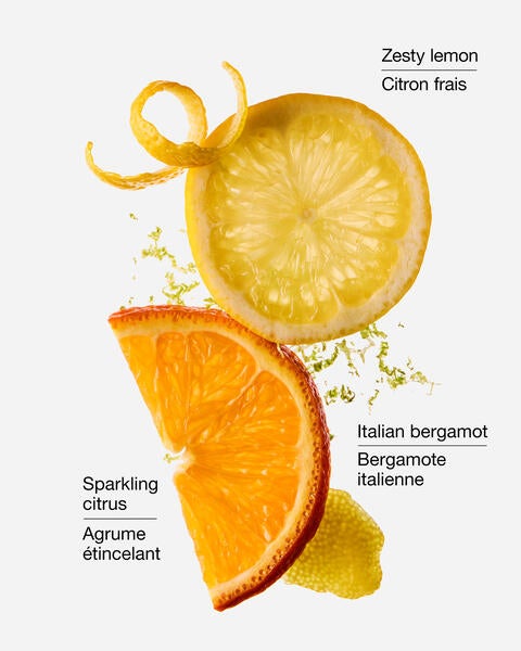 Kitchen Lemon Gift Set