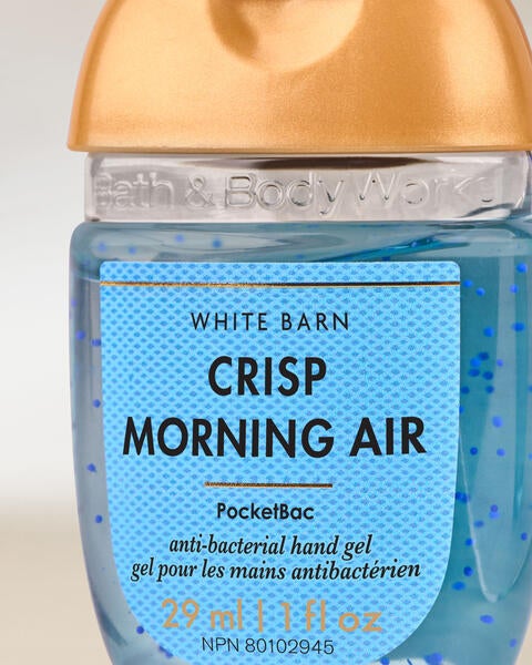 Désinfectant pour les mains PocketBac Crisp Morning Air