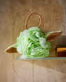 Grogu Sponge