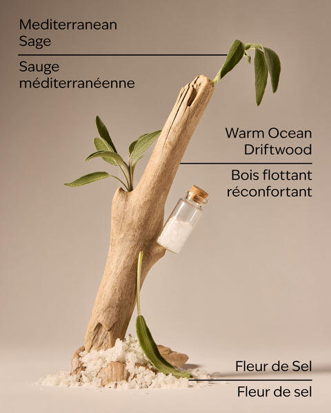 Sea Salt & Driftwood Wallflowers Fragrance Refill