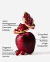 Cranberry & Pomegranate 3-Wick Candle