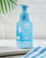 Blueberry Beach Club Gentle & Clean Foaming Hand Soap