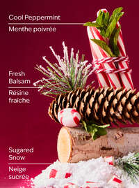 Twisted Peppermint Gentle & Clean Foaming Hand Soap