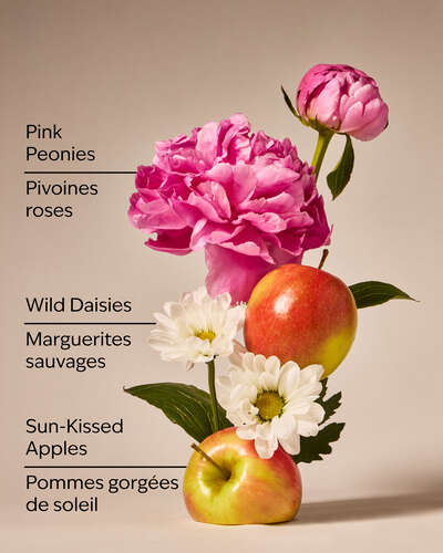 Beautiful Day Gentle & Clean Foaming Hand Soap