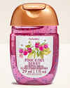Pink Kiwi Berry PocketBac Hand Sanitizer