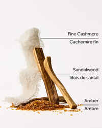 Santal + Amber 4-Wick Candle