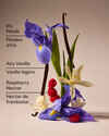 Butterfly Body Lotion