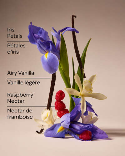 Butterfly Body Lotion