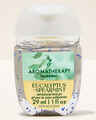 Eucalyptus + Spearmint PocketBac Hand Sanitizer