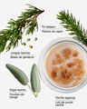 Under the Christmas Tree 3-Wick Candle