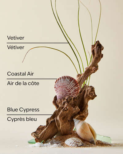 Ocean Antiperspirant Deodorant