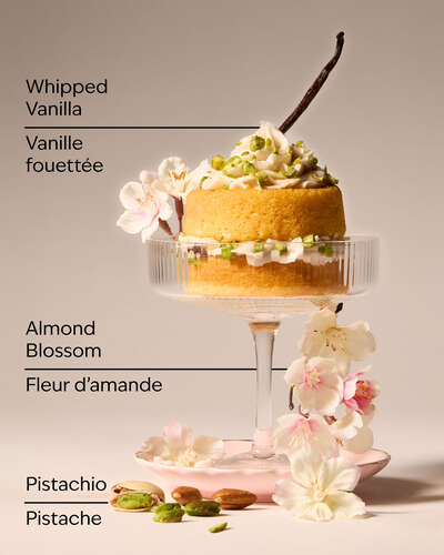 Toasted Pistachio Travel Size Fine Fragrance Mist