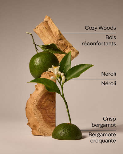 Book Loft 3-Wick Candle